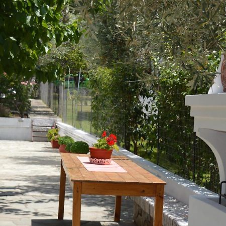 Anna George Studios Stafylos Bagian luar foto